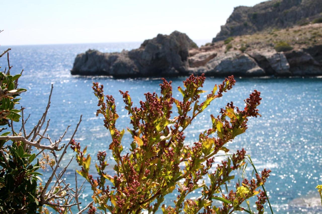 Agios Pavlos Hotel Exterior foto